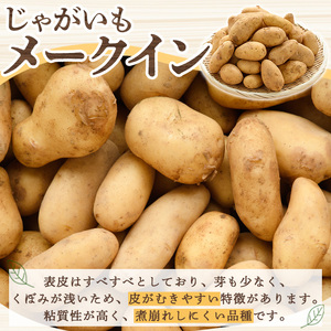 ＜先行予約受付中！2027年5月下旬以降順次発送予定＞ 訳あり！じゃがいも「メークイン」(約10kg) じゃがいも ジャガイモ 芋 国産 野菜 期間限定 数量限定 肉じゃが ポテトサラダ カレー シチュー 【古田果樹園】akn093-02