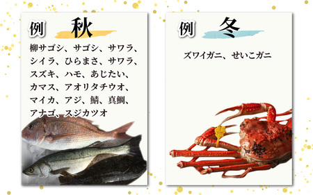 【定期便　隔月２回】【朝獲り】漁師厳選 鮮魚セット (大) 5種類以上 約5kg | お任せ 盛り合わせ