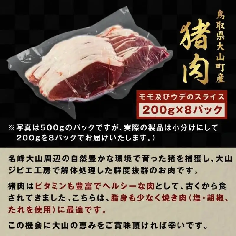 GB-04　猪肉モモ 1.6kg