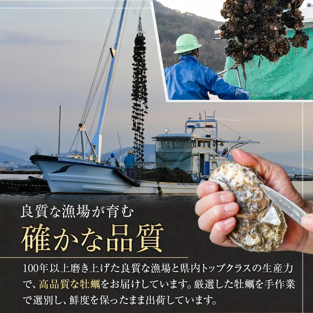 米田海産の冷凍かき 500g【広島 牡蠣】