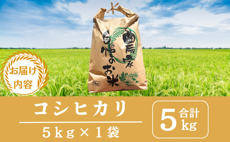 コシヒカリ 5kg 米 お米 京都丹波産 コシヒカリ