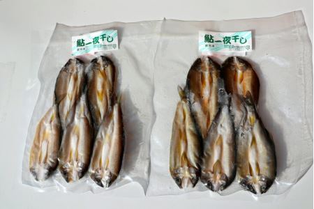 荒川漁業　鮎・岩魚・山女一夜干しセット◇ ≪海鮮 魚介 おつまみ 贈り物 プレゼント ギフト 送料無料≫ ※着日指定不可◇