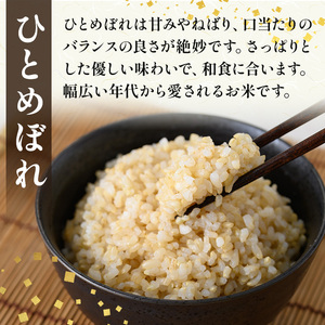 ＜先行予約！2026年11月から順次発送予定＞【令和8年産 新米】柴田町産 ひとめぼれ ＜玄米＞ 30kg お米 おこめ 米 コメ 白米 ご飯 ごはん おにぎり 宮城米 お弁当 【下名生ファーム】 sh123