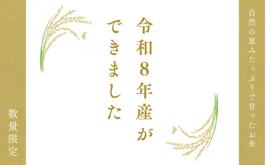 R8年産 ハツシモ米 【白米】 1kg 【10営業日以内発送】