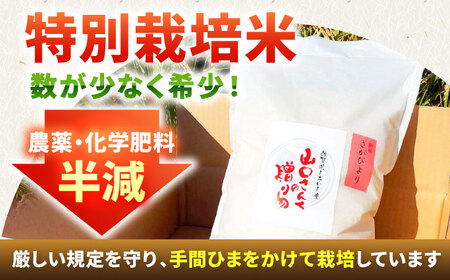 【先行予約 2026年11月～発送】 令和8年産 特別栽培米！さがびより（玄米）10kg / お米 [IAS022]