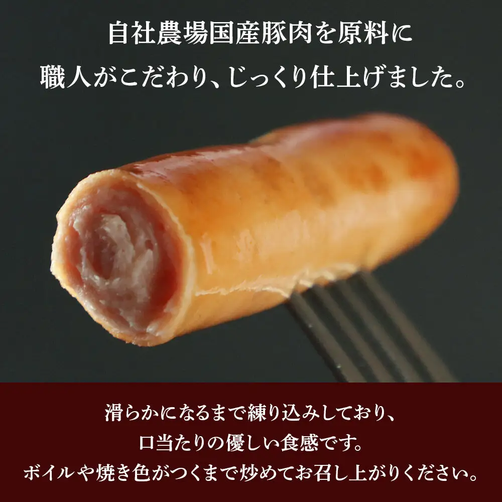 田園ハム ポークウインナー 95g×10個セット