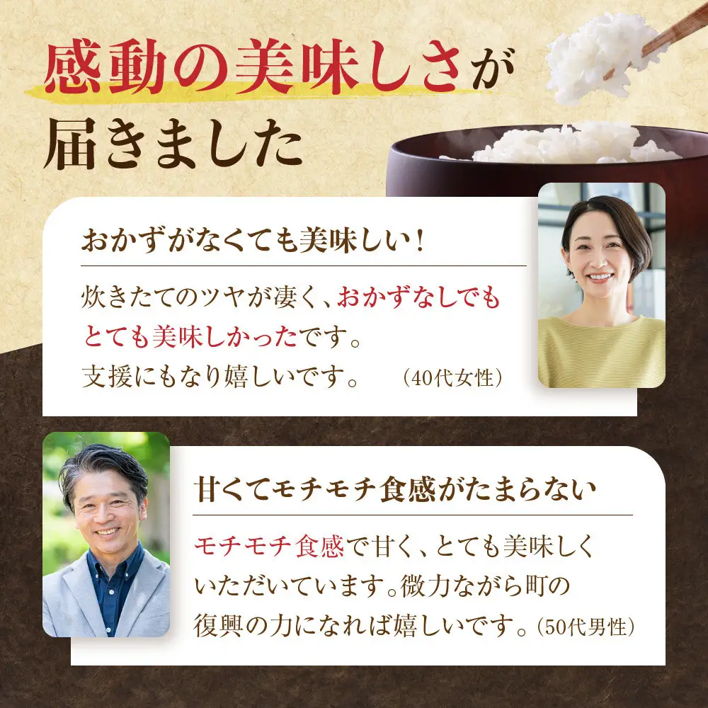 【復興支援】【令和7年産】奥能登柳田米 Ｅこしひかり 3kg