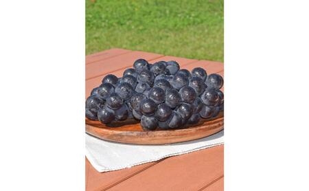 ぶどう 種無し巨峰 訳あり家庭用 2kg 4～6房 ぶどう