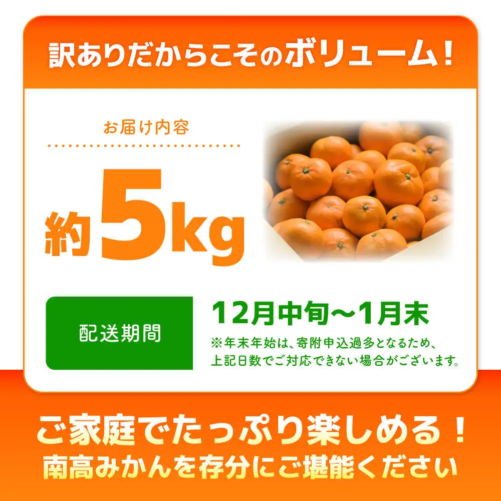 【2026年12月中旬-発送】【訳あり】家庭用 南高みかん 5kg / みかん ミカン 蜜柑 果物 フルーツ / 南島原市 / 南高果樹農業協同組合[SGI001]