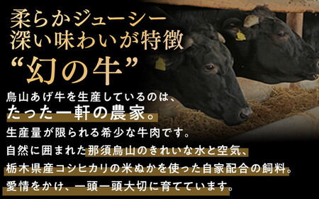 37-2　烏山山あげ牛サーロインステーキ　220ｇ×３枚