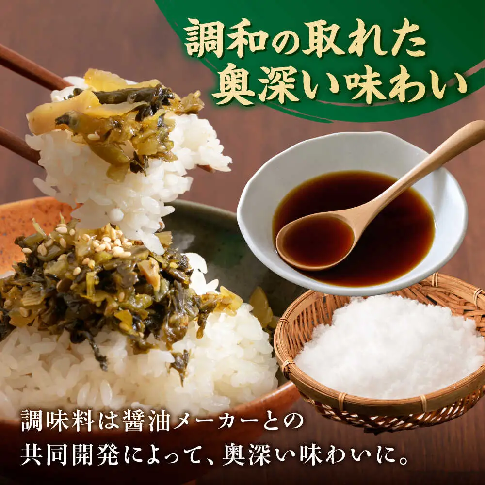 老舗逸品 恵み 高菜3種セット [BGAX002] 高菜漬け 漬物 つけもの
