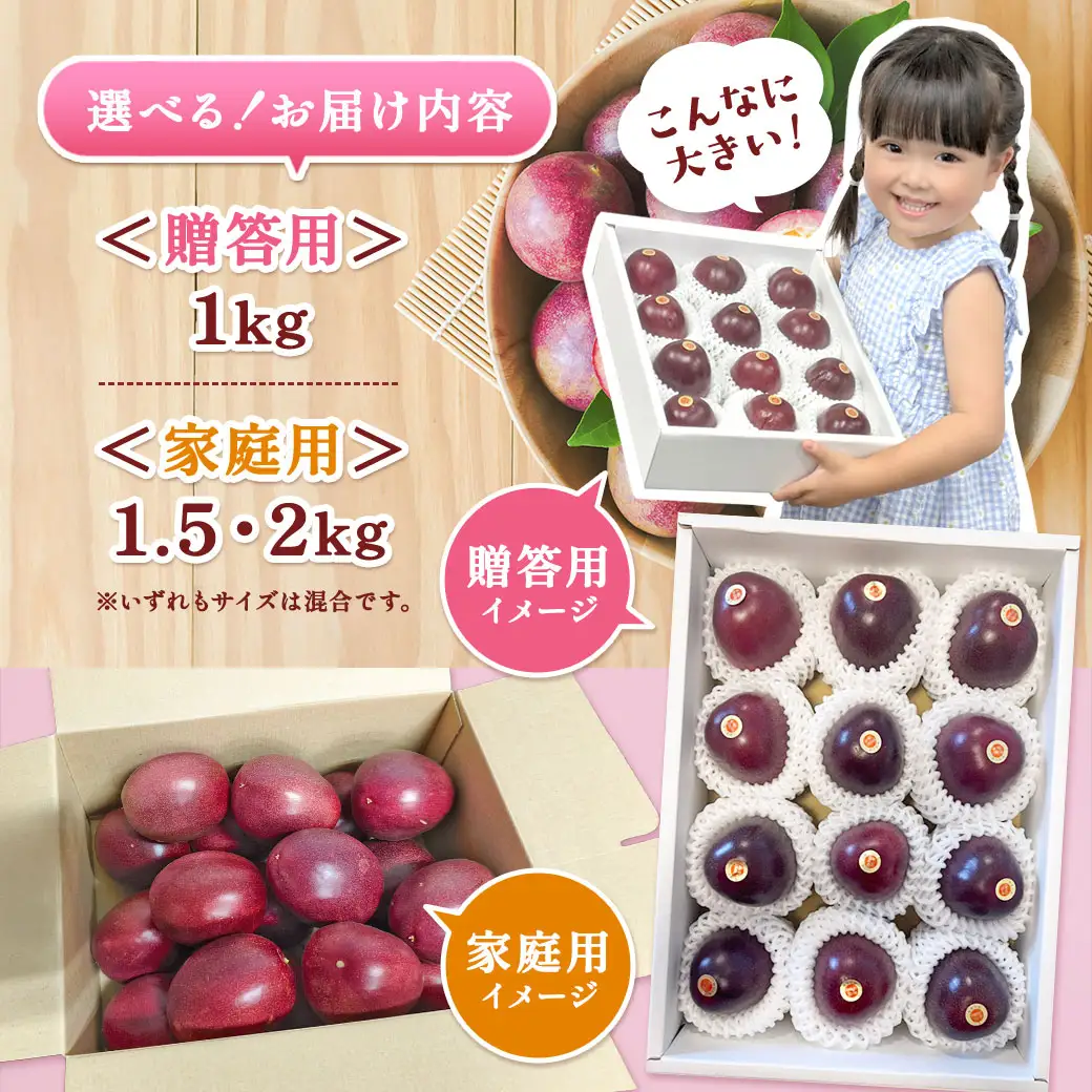 【2026年6月～7月頃順次発送予定】パッションフルーツ 家庭用 (1.5kg) バラ詰め サイズ混合 【数量限定 期間限定】 鹿児島県産 国産 奄美大島 宇検村 果物 フルーツ リリコイ 果物時計草 デザート 旬 新物 奄美大島開運酒造 パッションフルーツ リリコイ 