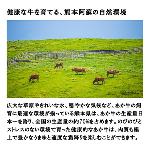 【三協畜産】熊本和牛 あか牛100% 切り落とし スライス 牛肉 1kg 1000g 500g×2 熊本県産 肥育 新鮮 阿蘇 熊本 褐毛和種 褐牛 和牛 料理のお供 炒め物 煮込み 老舗 農場 ご家庭用 ギフト 贈答用 小国町ふるさと納税