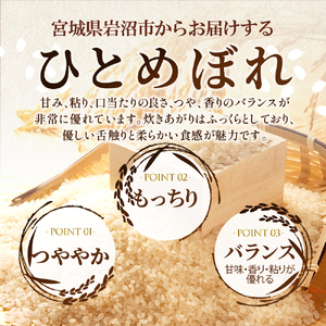 【 令和7年産/ 2ヶ月連続定期便 】 無洗米 ひとめぼれ 5kg × 2回 岩沼産 白米 東北 宮城県産 宮城米