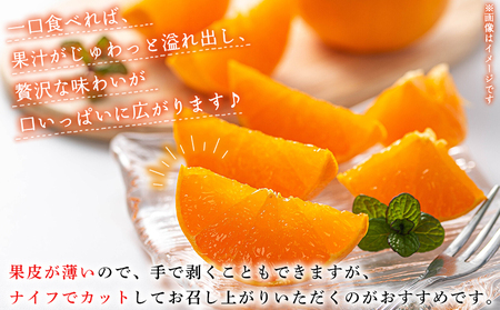 ＜産地直送 愛媛県明浜町産 せとか 約5kg＞ ※2027年3月上旬～3月下旬迄に順次出荷予定 セトカ 果物 くだもの みかん ミカン 柑橘 フルーツ 柑橘類 果実 高級 糖度 果汁 柑橘の大トロ 甘い 国産 5キロ 特産品 宇都宮農園 愛媛県 西予市【常温】AUN0004