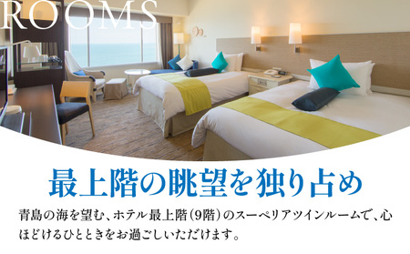 1泊2食付き ペア宿泊券(スーペリアツインルーム) ホテル 宿泊 旅行