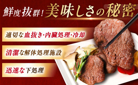 ジビエ鹿肉ステーキ肉 120g×6枚 / 恵那市 / 弘法屋 [AUEA001] 鹿肉ジビエ