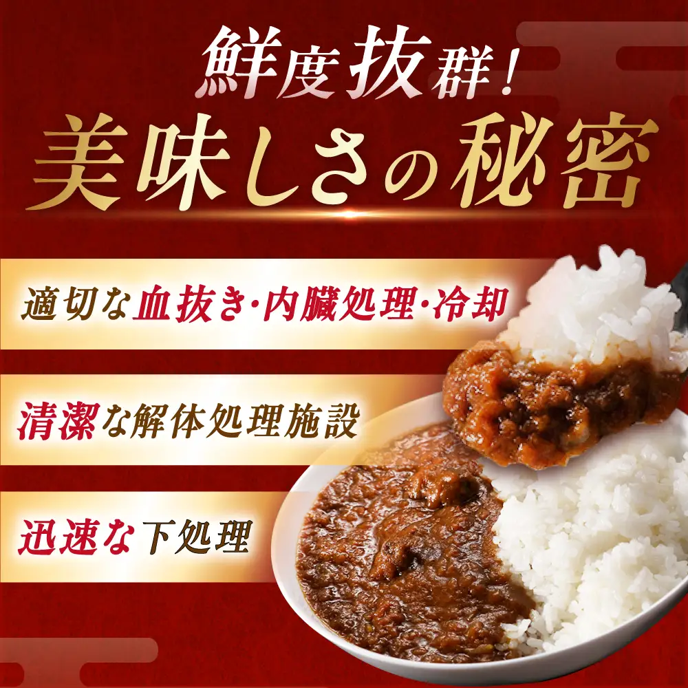 鹿肉カレー 250ｇ×6袋 / 恵那市 / 弘法屋 [AUEA002]