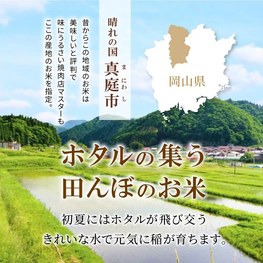米 岡山県産精米 令和7年産きぬむすめ無洗米10kg 【tkns008-01-cho】