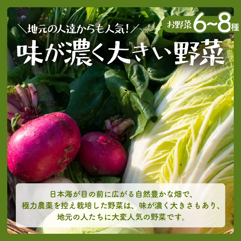 【先行予約】お野菜セット 旬の冬野菜と平飼い卵のお楽しみボックス【2026年12月上旬以降順次発送予定】[m75-a001]