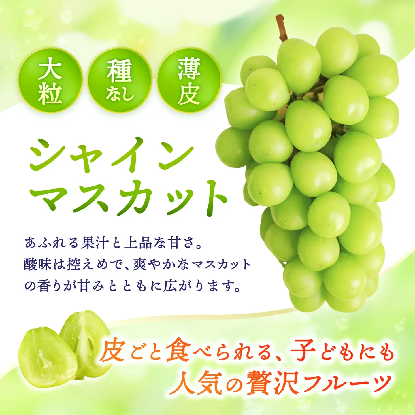 【2026年先行予約】 ご家庭用 Lino＆Kai Farmのシャインマスカット 1房 （約800g）化粧箱入 ぶどう 岡山 真庭市 シャインマスカット 【linokai007-02】