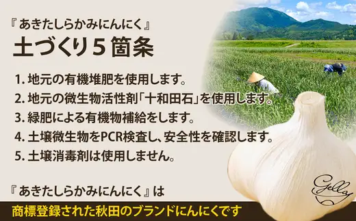 あきたしらかみにんにく 冷凍ペースト 2.5kg（約500g×5袋）　150P3202【 gella】