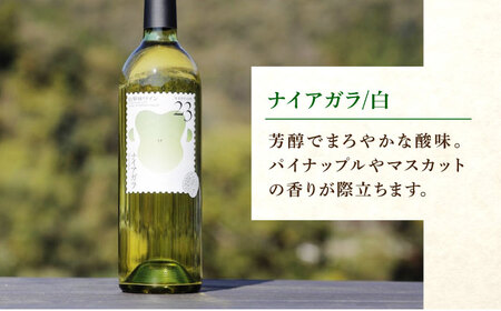山野峡ワイン　赤白セット　キャンベル・ナイアガラ 広島県福山市/株式会社福山健康舎(山野峡大田ワイナリー) 山野峡ワイン 福山 広島 ワイン 福山市 ぶどう ワイナリー[BADO008]