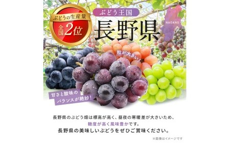 【2026年 先行予約】【希少品種・お楽しみセット】シャインマスカット1房と旬の完熟1房詰め合わせ