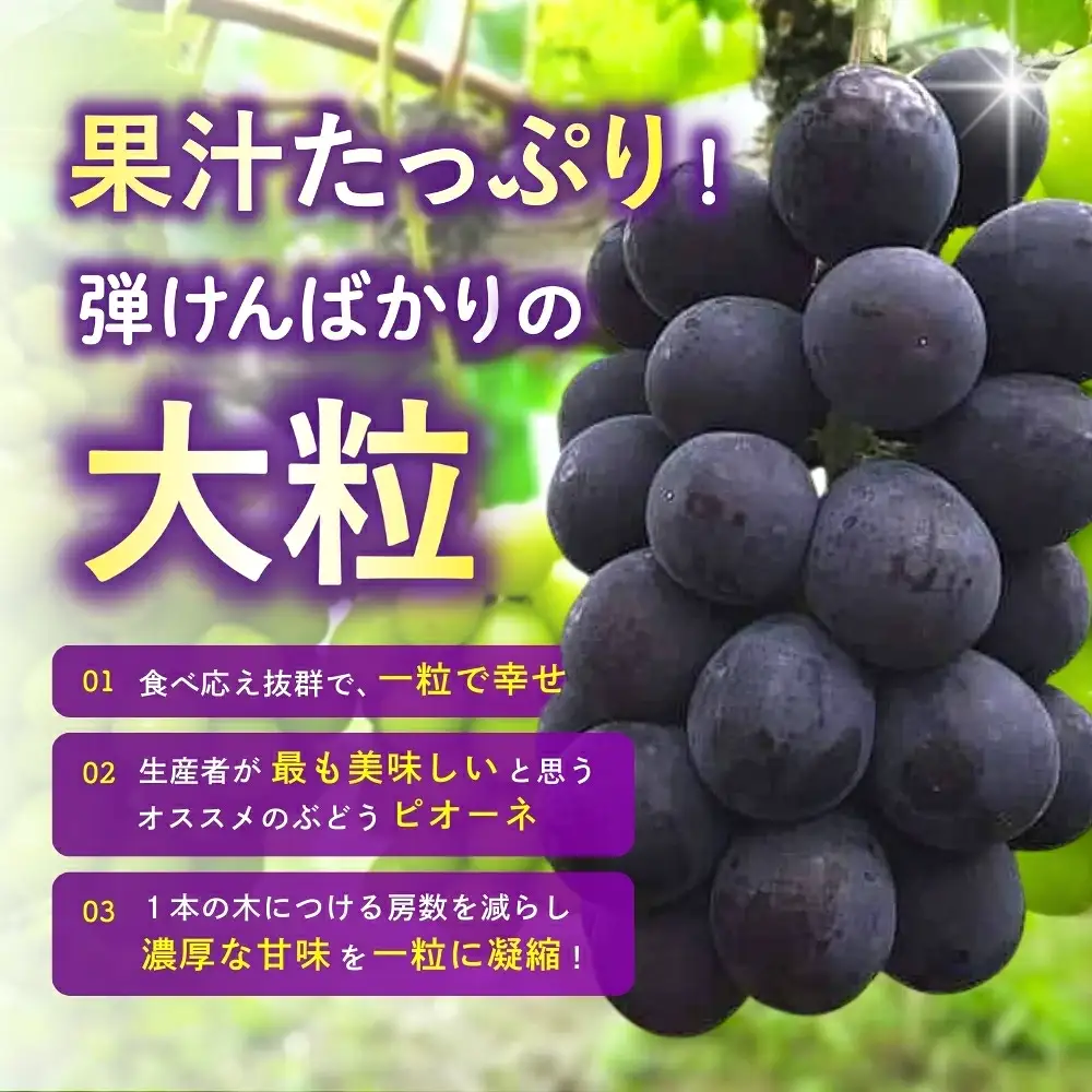 【訳あり】 ※2027年の予約です！※ 岡山県産 林ファミリーのピオーネ 約4kg（約5～8房） 【2027年先行予約】 / 岡山 真庭 ピオーネ 葡萄 ぶどう ブドウ 果物 フルーツ 新鮮 濃厚 人気 数量限定 お買い得 家庭用 お試し たっぷり ぶどう専門【hfbd020-03】