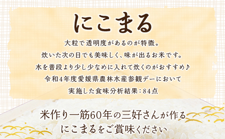 ＜令和7年産 西予市宇和町産 にこまる 約5kg＞ お米 コメ 白米 精米 単一原料米 ご飯 晩稲 大粒 精米 ご飯 ライス 穀物 ニコマル 特産品 愛媛県産 西予市産 宇和町産 三好フク 愛媛県 西予市【常温】『1か月以内に順次出荷予定』UMH0014