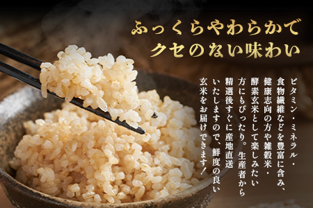 【鹿島市産】＼生産者直送／ 夢しずく 玄米10kg 佐賀県鹿島市 D-247