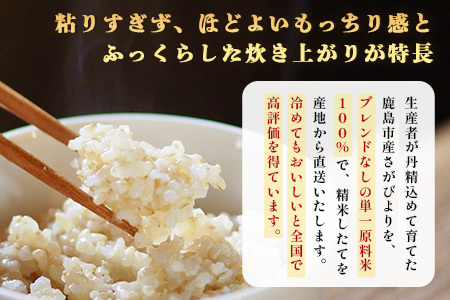 先行受付【鹿島市産】＼生産者直送／ さがびより 玄米10kg 佐賀県 鹿島市 D-249