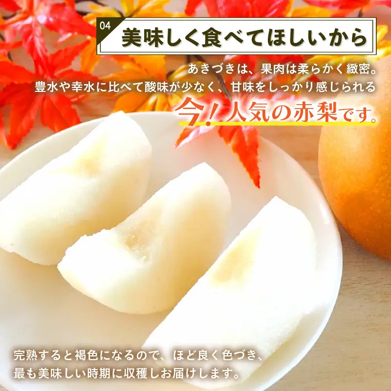 【先行予約】上野梨園のあきづき梨 5㎏箱入り（8～12玉入） / 梨園直送【上野の梨】 / 期間限定 果物 フルーツ 農家直送 シャキシャキ もぎたて 旬 お取り寄せ ※2026年9月下旬より順次発送 [aw077-a027]