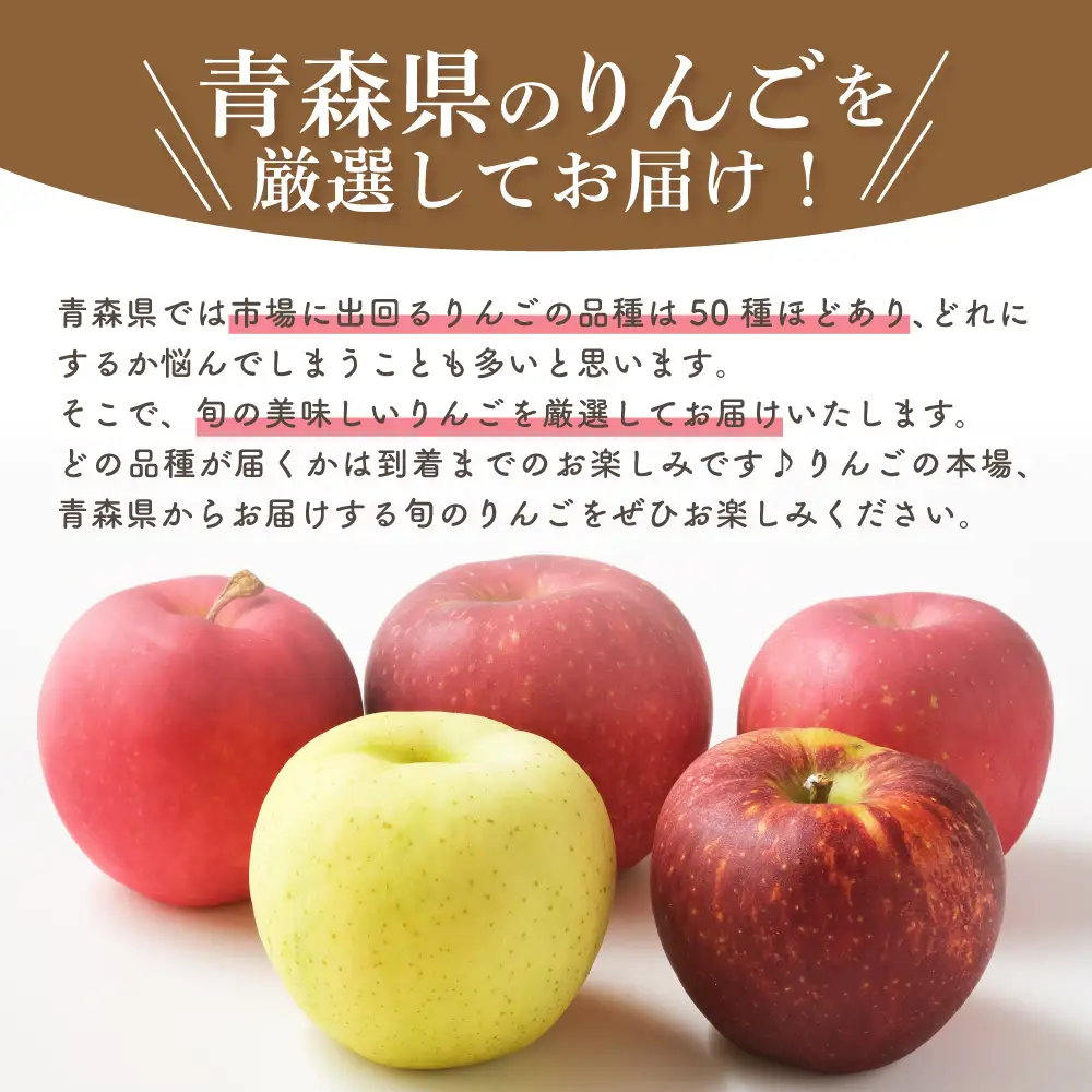 【2026年9月中旬発送】【訳あり】 旬の美味しい りんご 約5kg 青森県産 【おまかせ1品種】 りんご