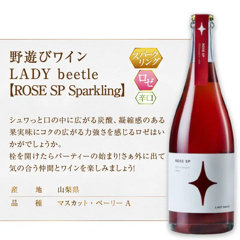 ワイン フジクレール 野遊びワイン LADY beetle【RED.N】【ROSE SP Sparkling】【GREEN.N Sparkling】3本セット（MG）D6-653