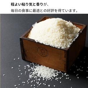 米 きぬひかり 5kg 精米 白米