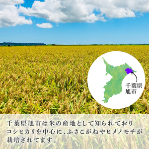 米 コシヒカリ 訳あり 約 5kg 令和8年産 白米 コシヒカリ
