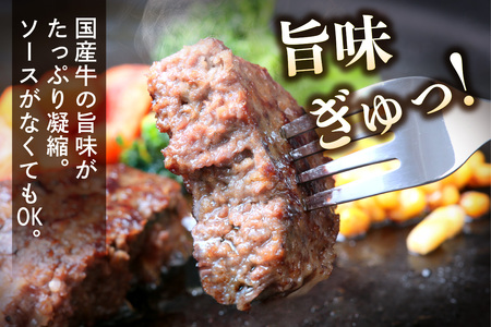 [5営業日以内発送] 柏木牧場特製 生ハンバーグ 160g×4個 [国産牛100%] ジュワッと肉汁まで美味い！(冷蔵配送) [0354]