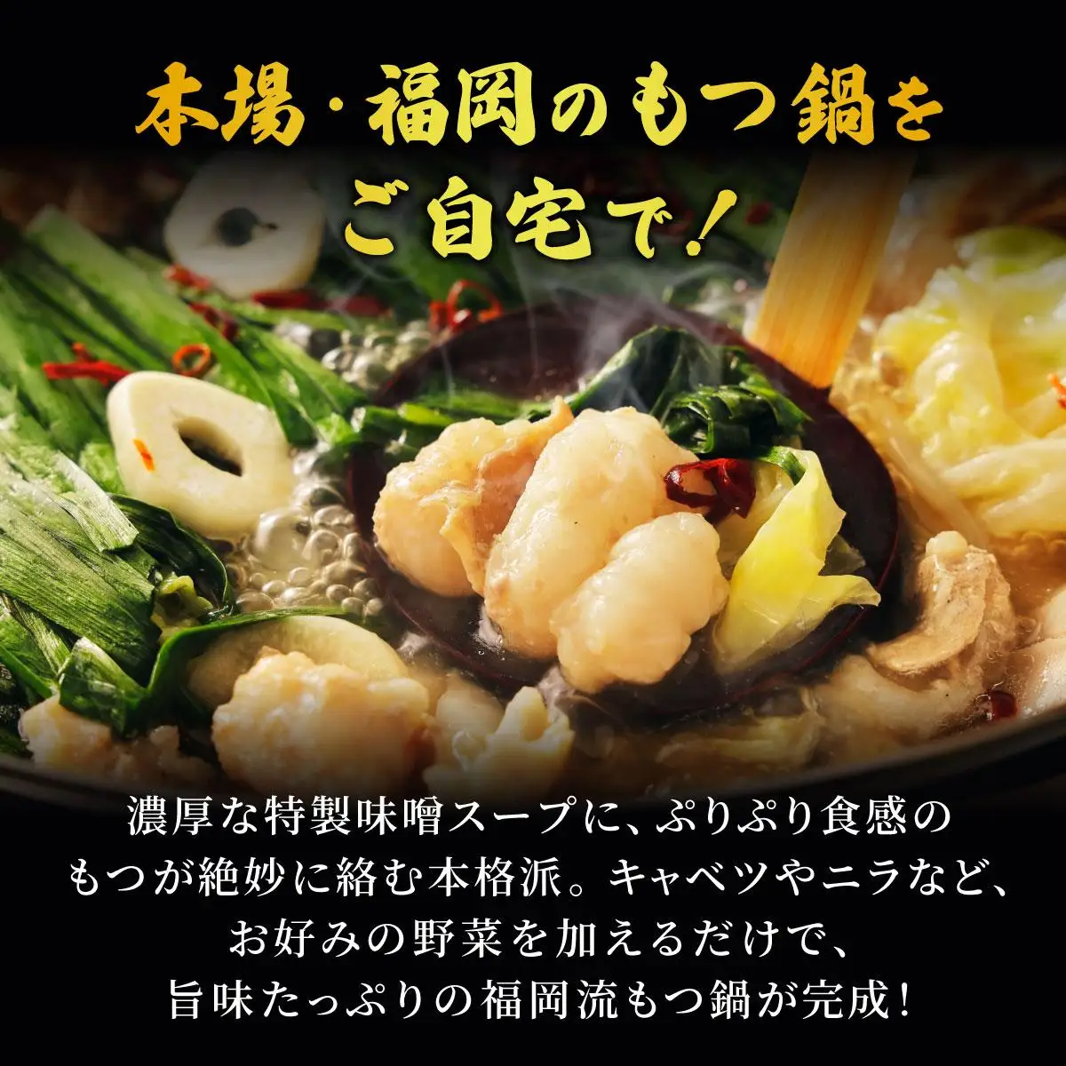 もつ鍋 最短翌日配送！味噌もつ鍋 12人前 CM003