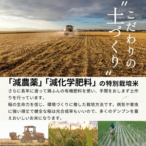SB1006　11月上旬配送／令和8年産【精米】　特別栽培米『はえぬき』 10kg(5kg×2袋)［減農薬・減化学肥料］ MA