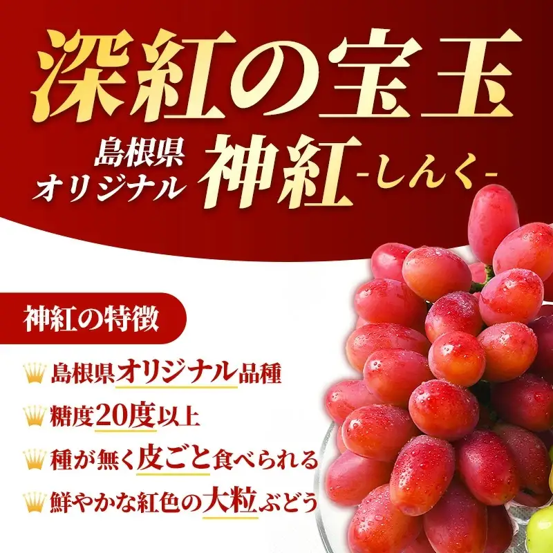 ＜足立ぶどう園＞島根県オリジナルぶどう「神紅」・シャインマスカット詰合せ（約1.2㎏）［JU米子髙島屋選定品］【ブドウ マスカット フルーツ 果物 オリジナル 品種 甘い 皮ごと 種なし 大粒 果汁 美味しい セット 詰め合わせ ギフト 贈り物 贅沢 島根県 安来市】【48-P1-01】