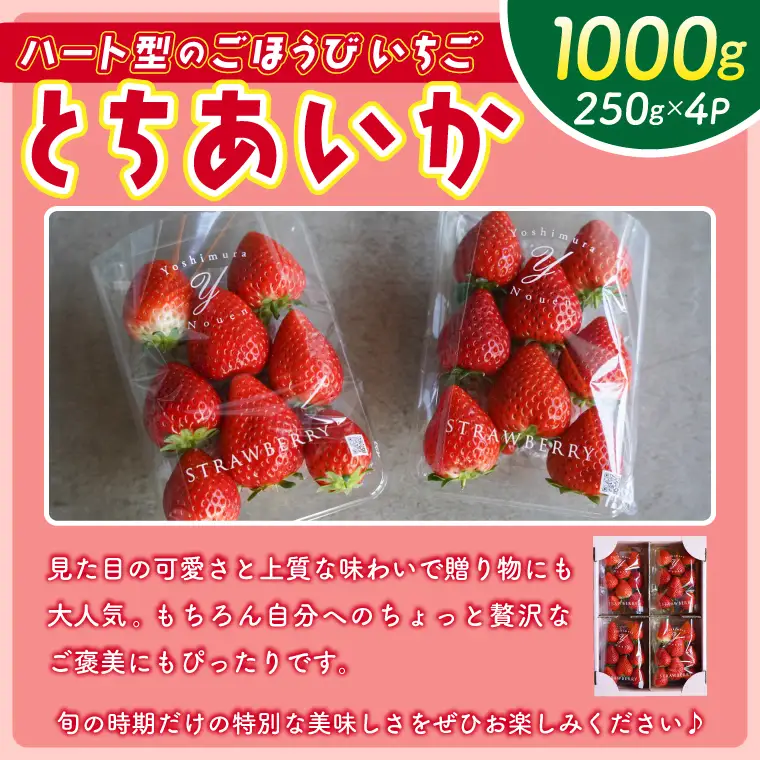 とちあいか 250ｇ×4パック 益子町 DS001