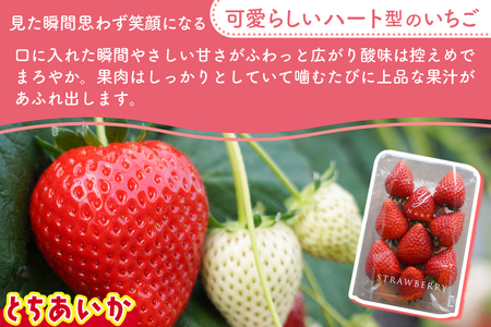 【2027年1月発送開始】【先行予約】合計1,000g 栃木県産 いちご食べ比べセット 甘くて可愛い「とちあいか」× 大粒高級「スカイベリー」 | 栃木県 ふるさと納税 いちご イチゴ 苺 果物 フルーツ とちあいか ご褒美 ハート型 熟成 スカイベリー 大粒いちご セット 食べ比べ こだわり (DS003)