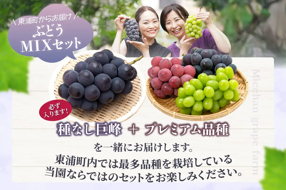 【先行予約】【2026年8月発送】東浦町産 ぶどうMIX・約2kg｜ぶどう フルーツ 東浦町