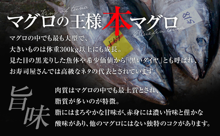 【定期便/計6回】本マグロ（6-8人前）