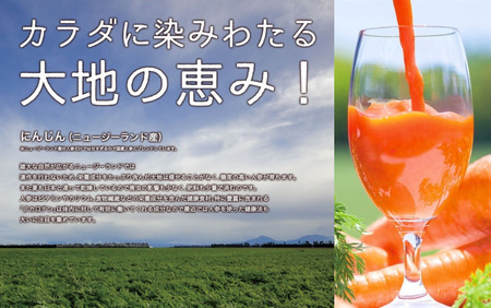 【砂糖不使用】 順造選 元気一杯 人参リンゴミックスジュース（人参汁＋りんご果汁100％）1000ml × 6本［MK13］ // 果汁飲料 100％ジュース ストレート ミックスジュース 野菜 果物 無加糖 無香料 無着色 健康 美容 栄養補給