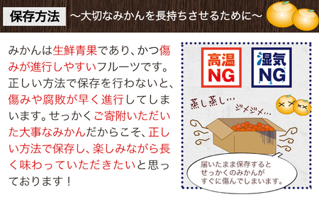 温州みかん 約10kg 日本フルーツ株式会社 ミカン