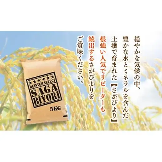 [令和7年産]  さがびより 白米 5kg