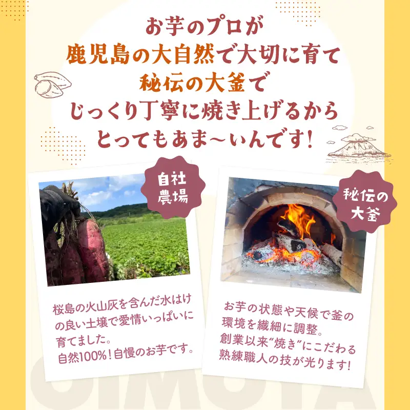 おいもや あま～い 冷凍 焼き芋 食べ比べ セット（ 計800g ） KN091-005 菓子 さつまいも