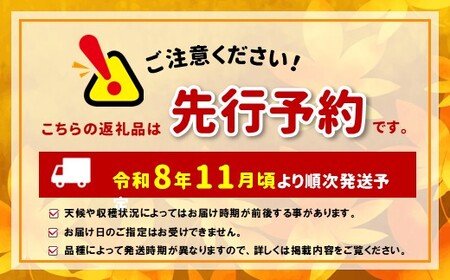 【先行受付】サンふじの血を引く信州オリジナル新品種。潤沢な蜜入りに期待！ シナノほっぺ 3kg 